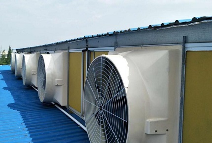 Anleitung zur Viehzucht: Wie unter scheidet man die Verwendung von Lüftungs zirkulation ventilatoren und Abluft ventilatoren in Rinder stillständen?