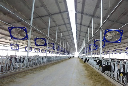 Direkter Hit im Sommer