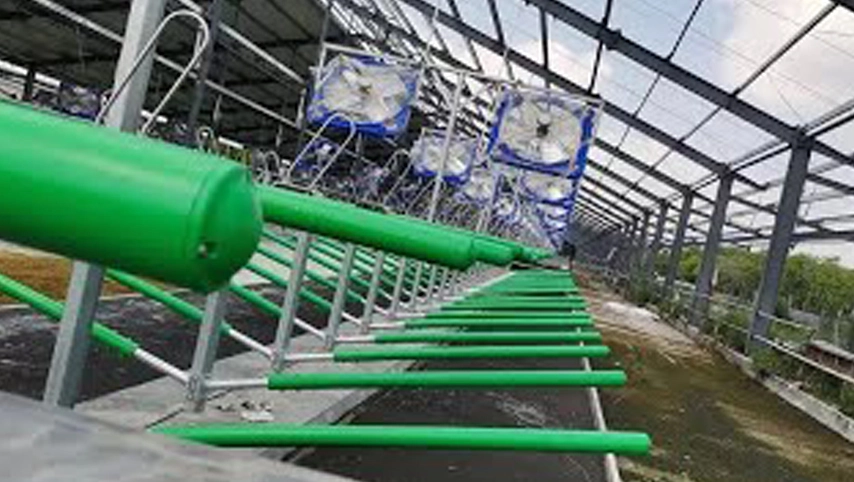 Kuh freier Stall Terrui Fabrik hersteller stellen Ranch ausrüstung zur Verfügung