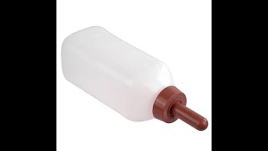 Haltung Ausrüstung Kalb fütterung Hohe Sicherheit Milch flaschen