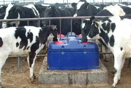 Drei Ernährungs tipps, um das Spiel in dieser Kalbe saison zu ändern