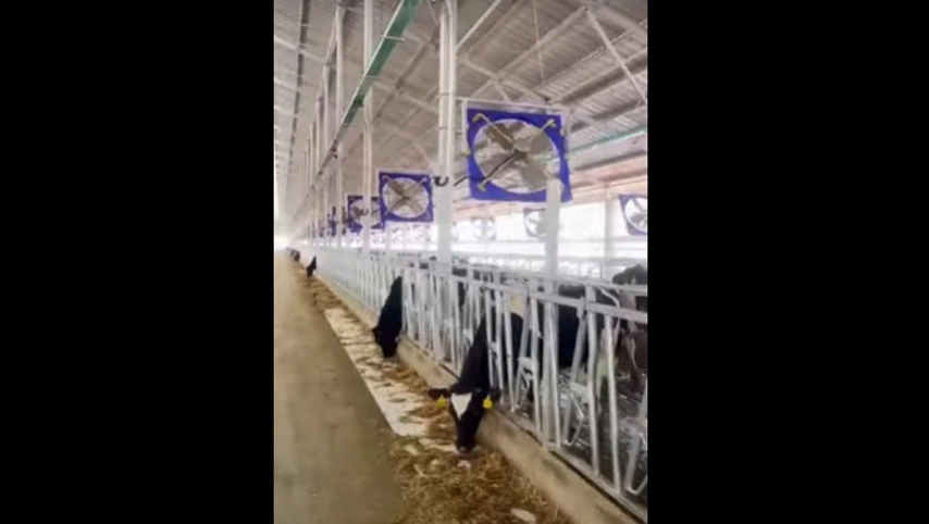 38 Zoll Industrie ventilator