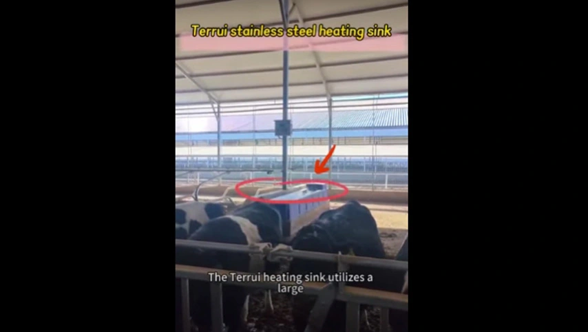 Rostfreier Platten wasser trog