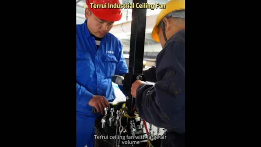 Terrui Industrie decken ventilator