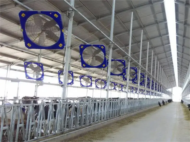 Bester Leitfaden für die Aufzucht von Kuh für Anfänger