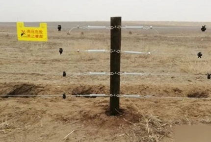 Unsichtbare Grünland zäune: Positive Auswirkungen auf das Vieh