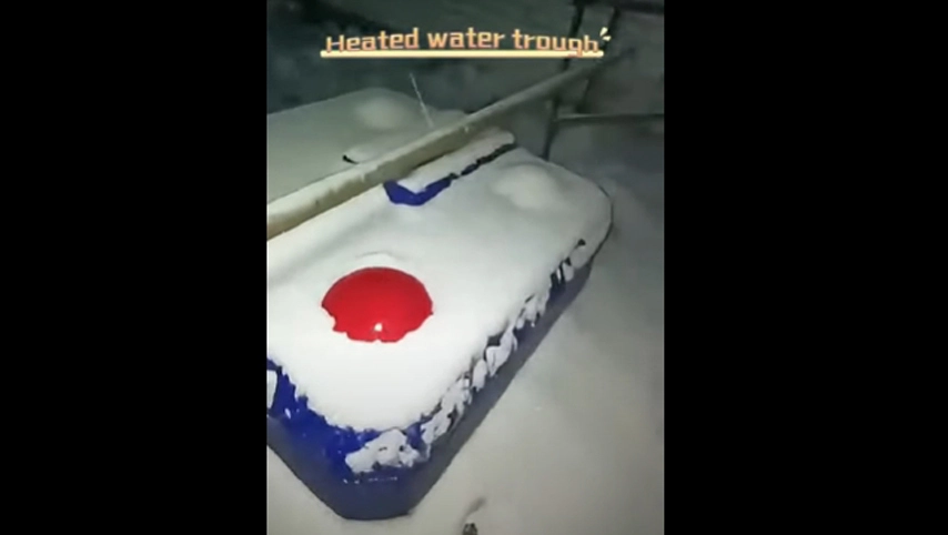 Beheizter Wasser trog