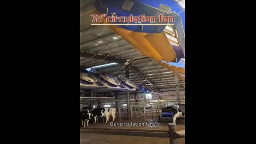 Terrui-72 ''Zirkulation ventilator