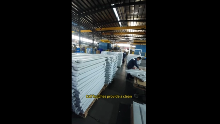 Terrui Tier ausrüstung