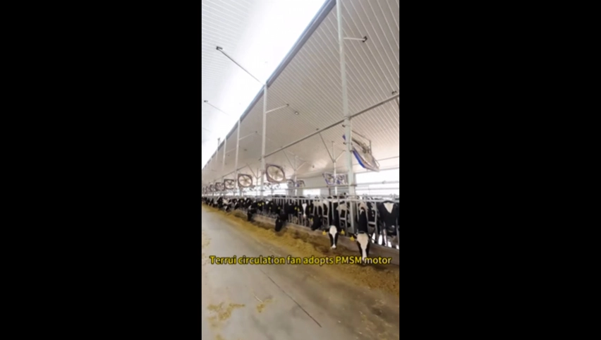 Zirkulation ventilator