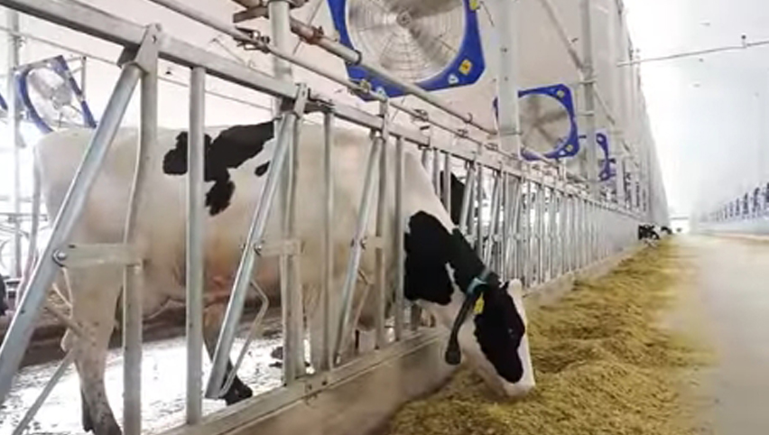 45''Zirkulation ventilator