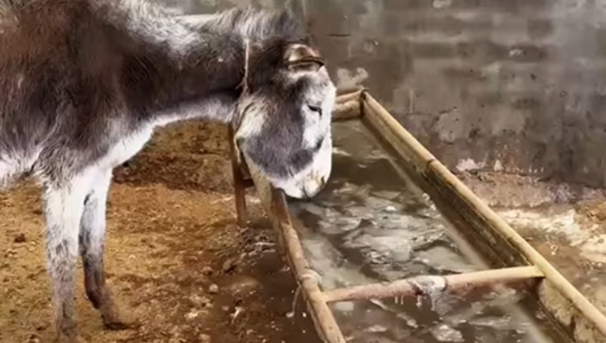 Waschbecken Vergleich