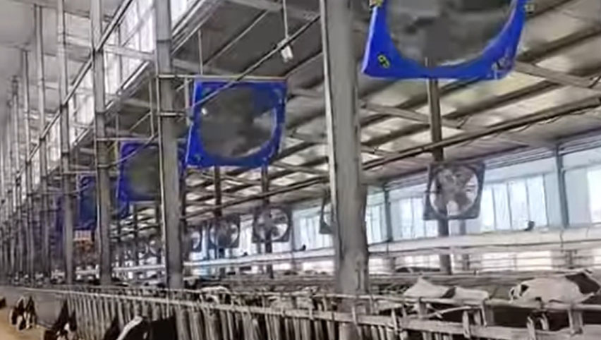 38 Zoll Zirkulation ventilatoren