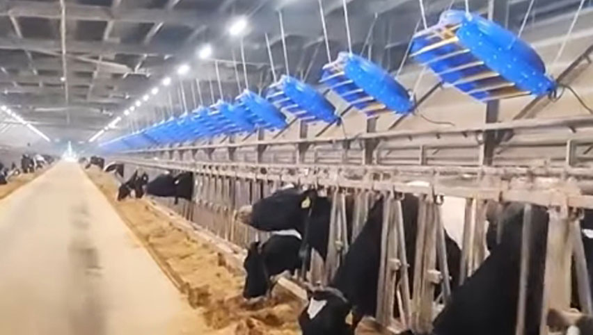 72 Zoll Zirkulation ventilator