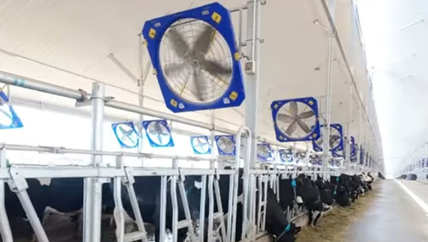 45 ''Zirkulation ventilator