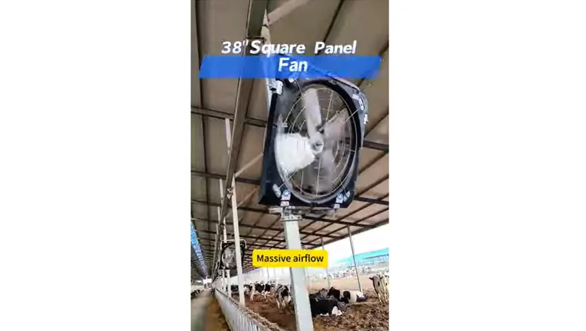 Videovorstellung des 38-Zoll-Quadrat-Panelventilators