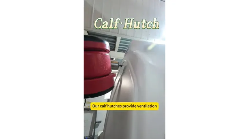 Videovorstellung der Kälberhütte