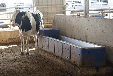 Optimierung der Ranch-ROI: Räumliche Ergonomie und die betrieblichen Vorteile professioneller Hydrationssysteme