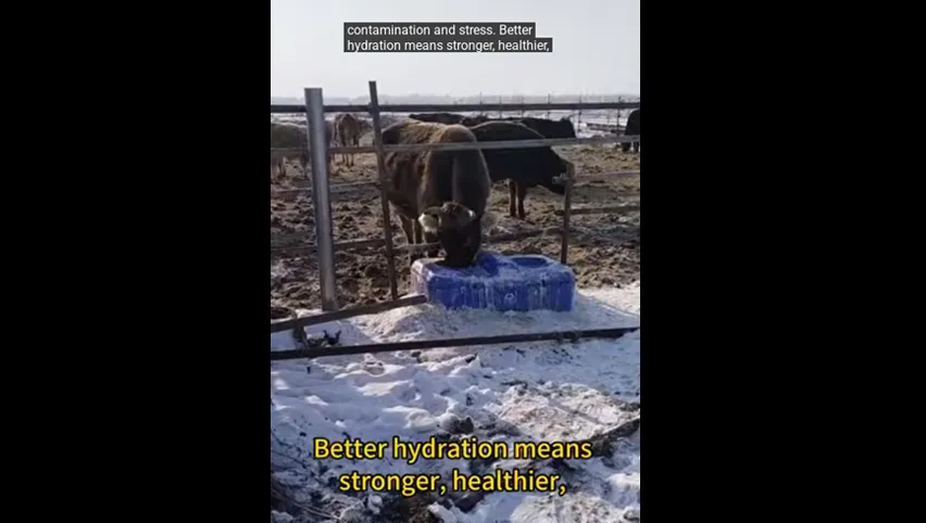 Umluftventilator für Geflügel