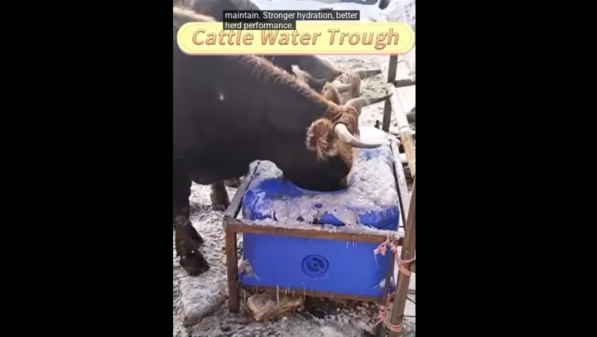 Kuhstall zu verkaufen