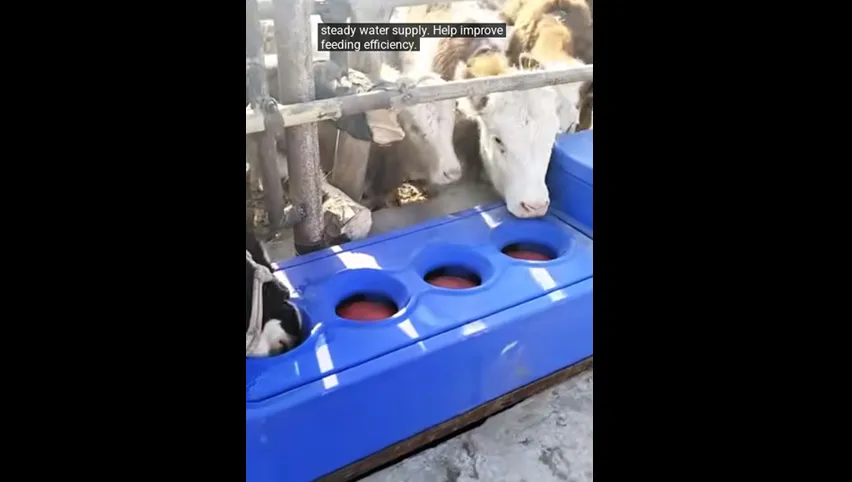 Beheizter Wassertrog für Ziegen
