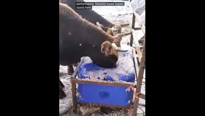 Geflügelfarm-Ventilatoren