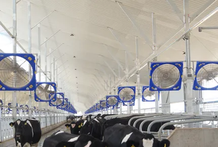 Abschied von der Riemenwartung: Warum moderne Ranches 2026 EC-Direktantrieb-Umluftventilatoren bevorzugen?